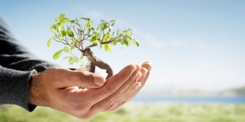 4 Reasons You Should Invest in Your Personal Development Today